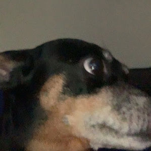 Meet your Posher, Adeline